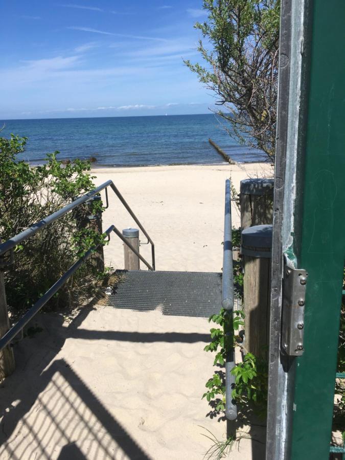 Fewo Schwalbennest Am Meer-Exklusiv-Eigener Strandzugang Ostseebad Kühlungsborn المظهر الخارجي الصورة